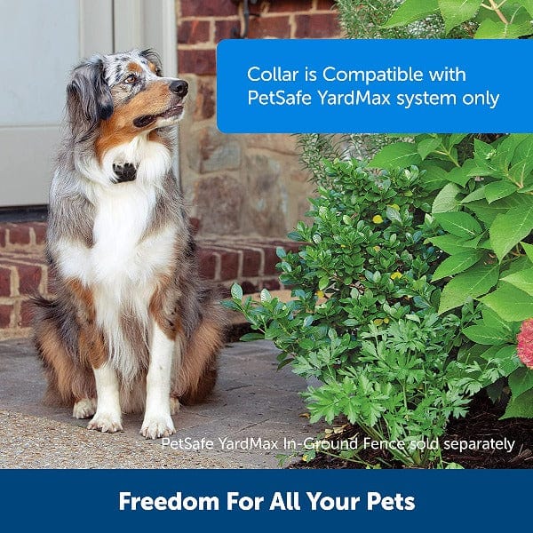PetSafe YardMax Rechargeable In-Ground Fence Receiver Collar - Image 3
