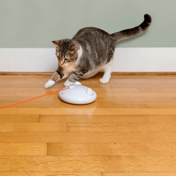 PetSafe Zip Automatic Laser Light Cat Toy - Image 3