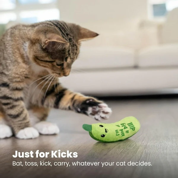Petstages Crunchy Pickle Cat Toy - Image 6