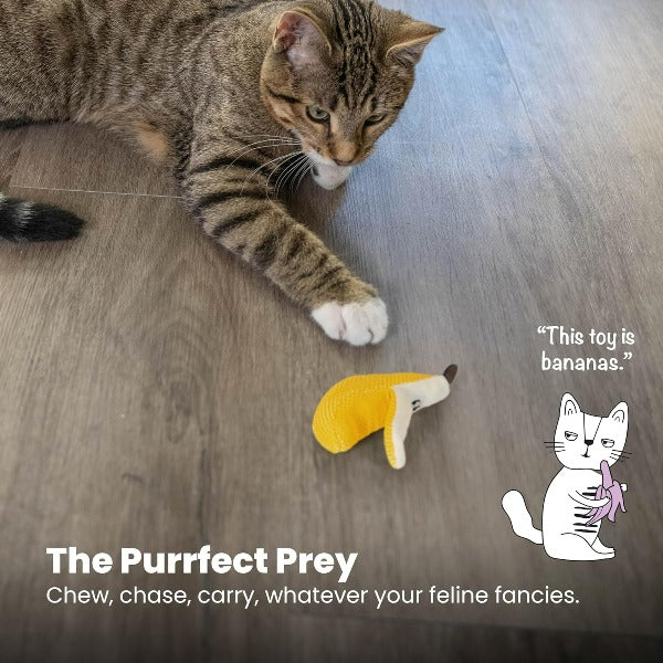 Petstages Dental Banana Cat Toy - Image 6