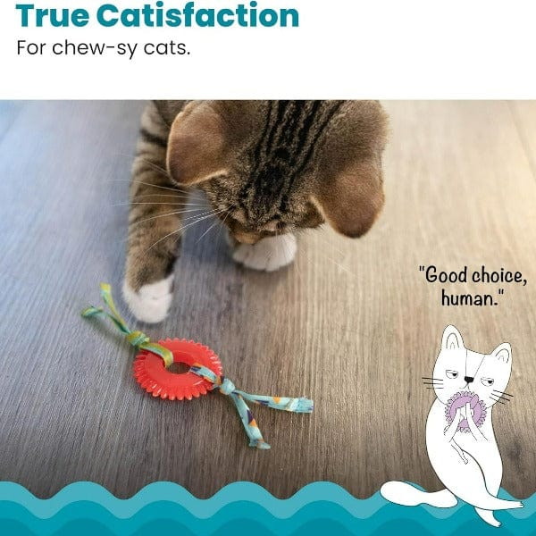 Petstages Dental Kitty Chew Wheel Cat Toy - Image 2