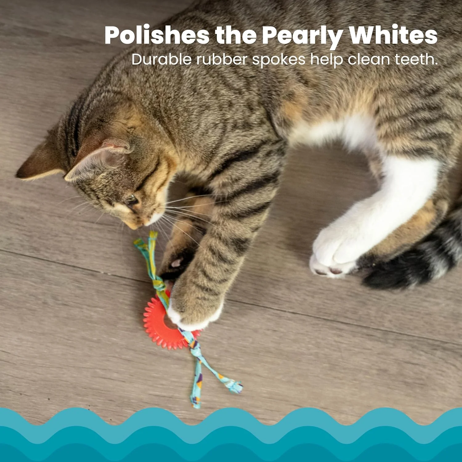Petstages Dental Kitty Chew Wheel Cat Toy - Image 3