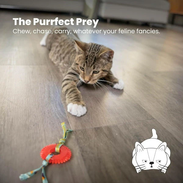 Petstages Dental Kitty Chew Wheel Cat Toy - Image 6
