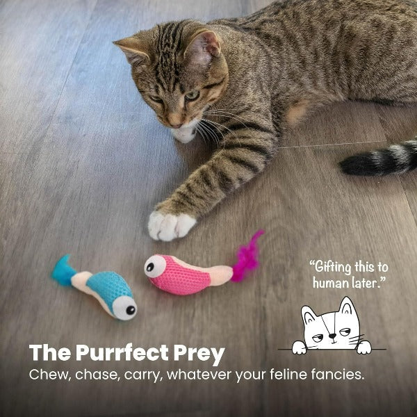 Petstages Dental Shrimpies Cat Toy - Image 6