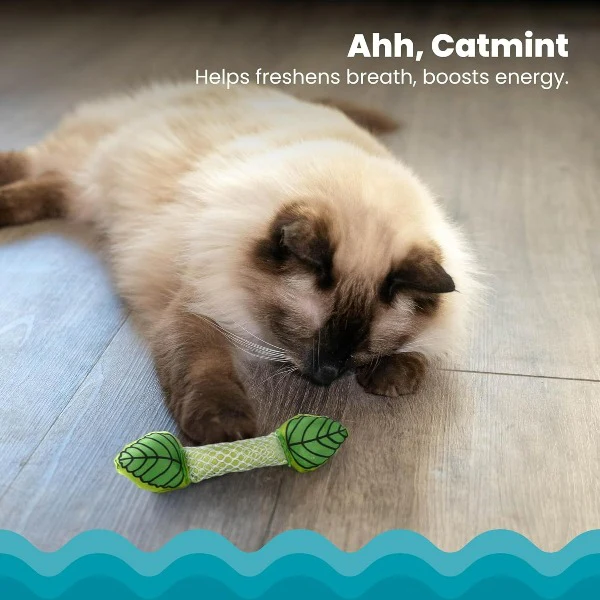 Petstages Fresh Breath Mint Stick Cat Toy - Image 2