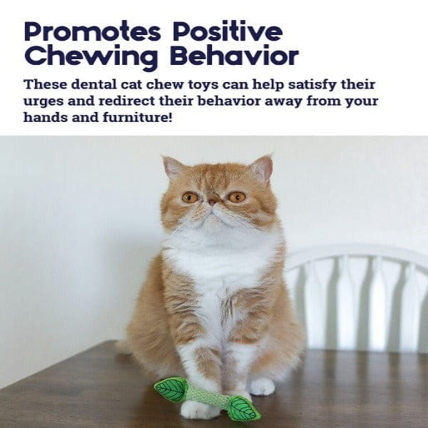 Petstages Fresh Breath Mint Stick Cat Toy - Image 4