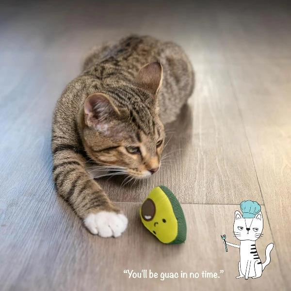 Petstages Lil' Avocato Cat Toy - Image 6