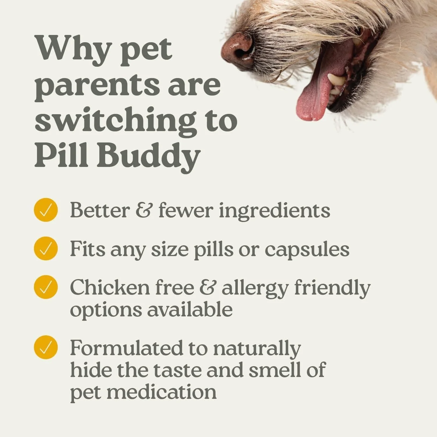 Pill Buddy Naturals Pill Hiding Treat for Dogs; Peanut Butter & Honey Recipe - Image 4
