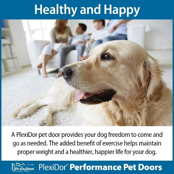 PlexiDor Wall Mount Performance Pet Doors - Image 3