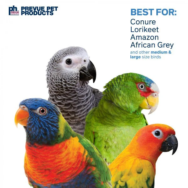 Prevue Pet Products Loops 'n Rings Bird Toy - Image 2