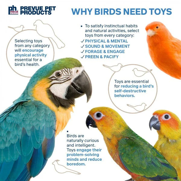 Prevue Pet Products Takeout Bird Toy - Image 5