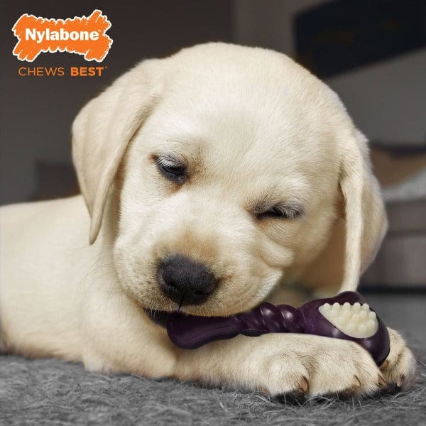 Nylabone Double Action Bone Puppy Dog Teething Chew Toy - Image 5