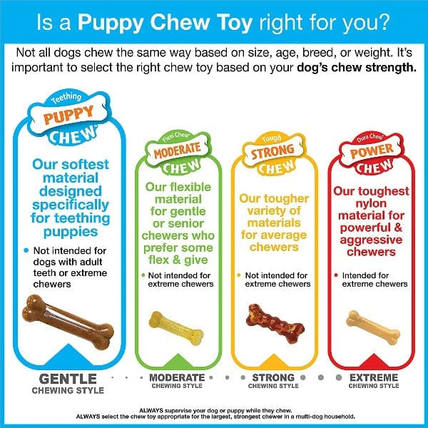 Nylabone Puppy Ring Bone Teething Toy for Puppies - Image 6