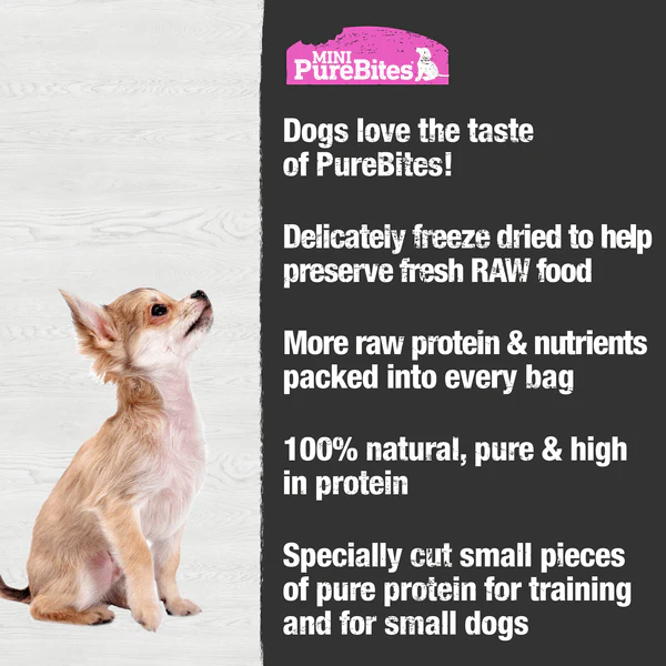 PureBites Freeze Dried Mini Training Salmon Dog Treats, 49g - Image 3
