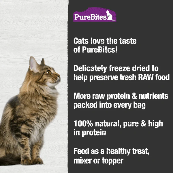 PureBites Freeze Dried Ocean Whitefish Cat Treat, 20g - Image 3