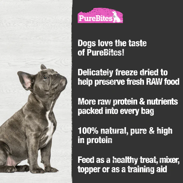 PureBites Freeze Dried Salmon Dog Treats - Image 4