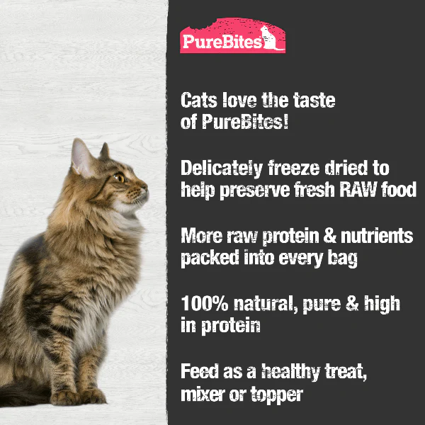 PureBites Freeze Dried Wild-Caught Shrimp Cat Treat, 23g - Image 3