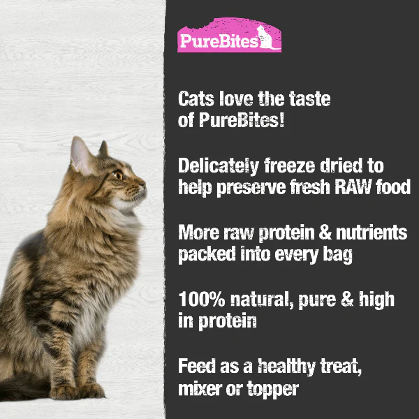 PureBites Freeze Dried Wild Salmon Cat Treats - Image 3