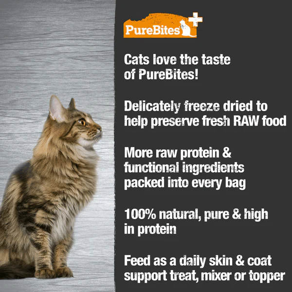 PureBites+ Skin & Coat Freeze Dried Cat Treats, 31g - Image 3