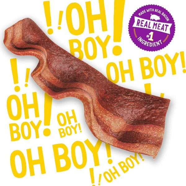 Beggin' Strips with Bacon Dog Treats - Image 2