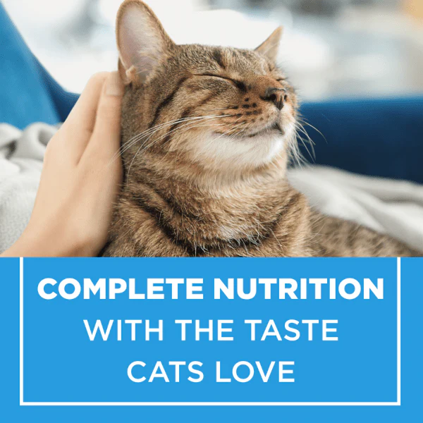 Purina Cat Chow Complete Dry Cat Food - Image 6