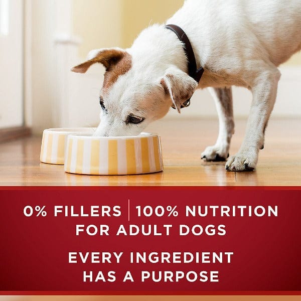 Purina ONE True Instinct with Turkey & Venison Canned Dog Food - Image 5