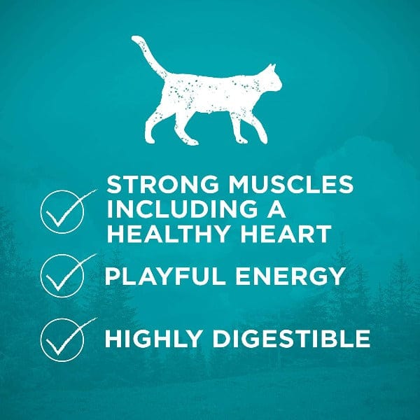Purina ONE True Instinct Grain Free Real Chicken Dry Cat Food, 1.45kg - Image 6