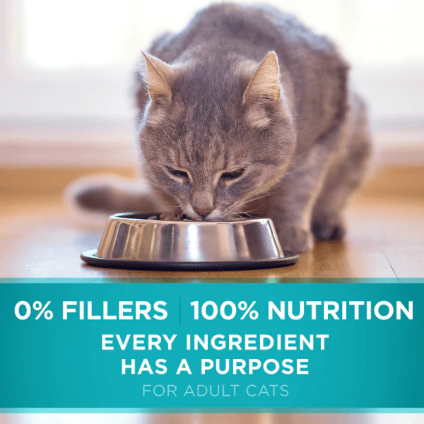 Purina ONE True Instinct Grain Free Real Chicken Dry Cat Food, 1.45kg - Image 8