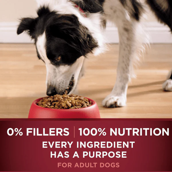 Purina ONE True Instinct Blend of Real Turkey & Venison Dry Dog Food - Image 5