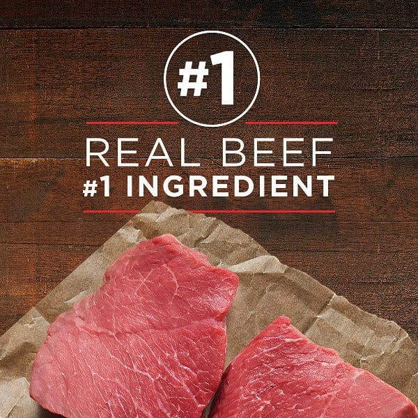Purina ONE True Instinct with Beef & Salmon Canned Dog Food - Image 3