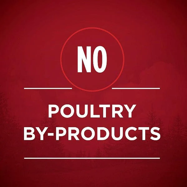 Purina ONE True Instinct with Beef & Salmon Canned Dog Food - Image 4