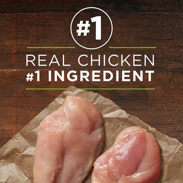 Purina ONE True Instinct with Chicken & Duck Canned Dog Food - Image 3