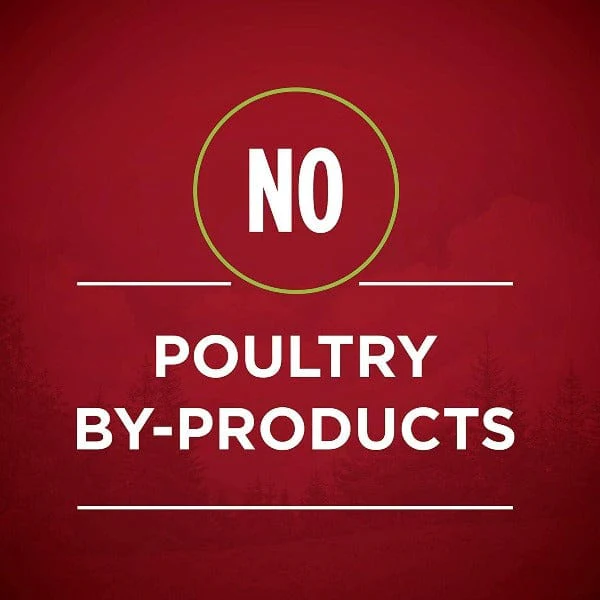 Purina ONE True Instinct with Chicken & Duck Canned Dog Food - Image 4