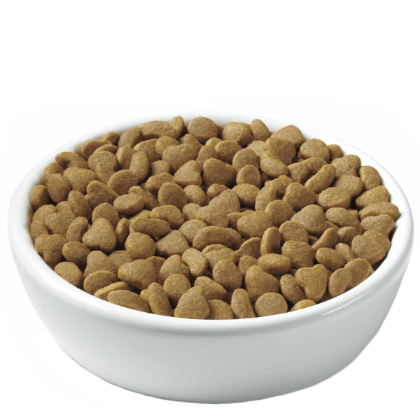 Purina Pro Plan Adult Sensitive Skin & Stomach Lamb & Rice Dry Cat Food, 7lb - Image 8