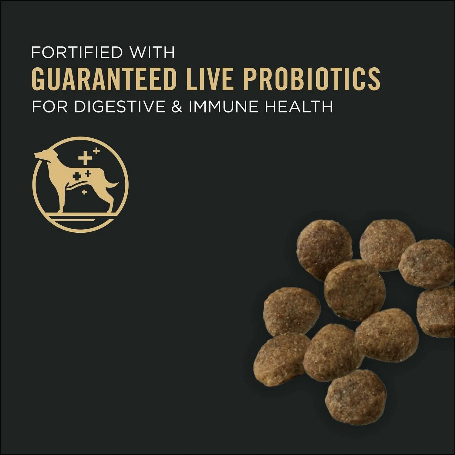 Purina Pro Plan Sensitive Skin & Stomach Salmon & Rice Dry Puppy Food - Image 2