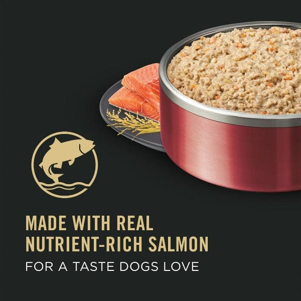 Purina Pro Plan Sensitive Skin & Stomach; Salmon & Rice Entrée Canned Dog Food - Image 2