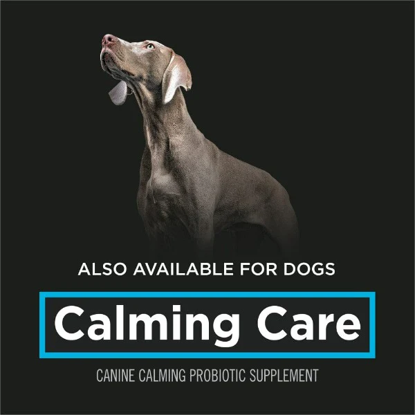 Purina Pro Plan Veterinary Supplements Calming Care: Powdered Calming Supplement for Cats - Image 7