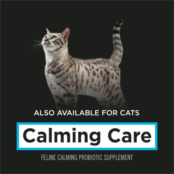 Purina Pro Plan Veterinary Supplements Calming Care: Powdered Calming Supplement for Dogs - Image 6