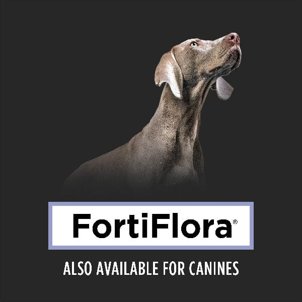 Purina Pro Plan Veterinary Supplements FortiFlora: Powdered Probiotic Supplement for Cats - Image 8