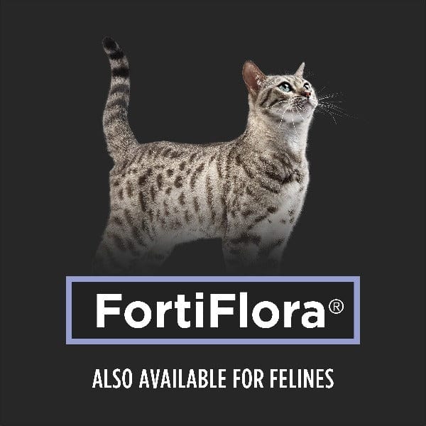Purina Pro Plan Veterinary Supplements FortiFlora: Powdered Probiotic Supplements for Dogs - Image 9