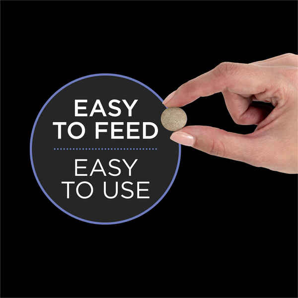 Purina Pro Plan Veterinary Supplements FortiFlora: Probiotic Tablet Supplement for Dogs - Image 2