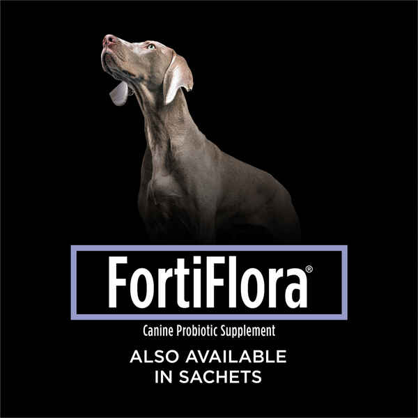 Purina Pro Plan Veterinary Supplements FortiFlora: Probiotic Tablet Supplement for Dogs - Image 7