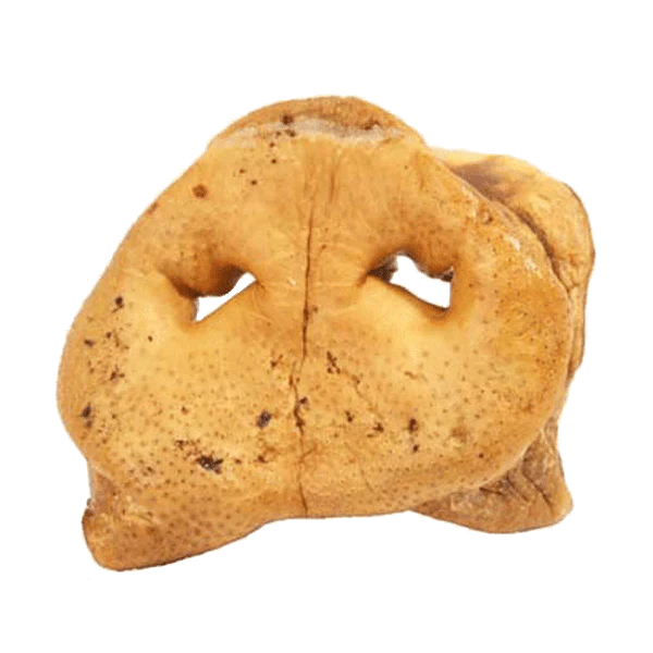 RedBarn Pig Snout Dog Chew