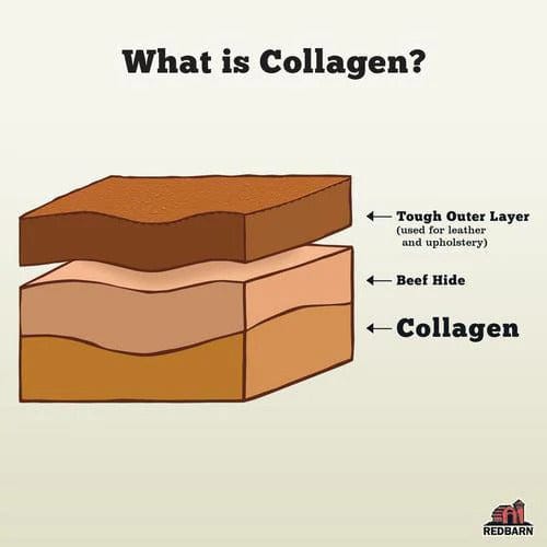 RedBarn Puffed Collagen Braid - Image 2