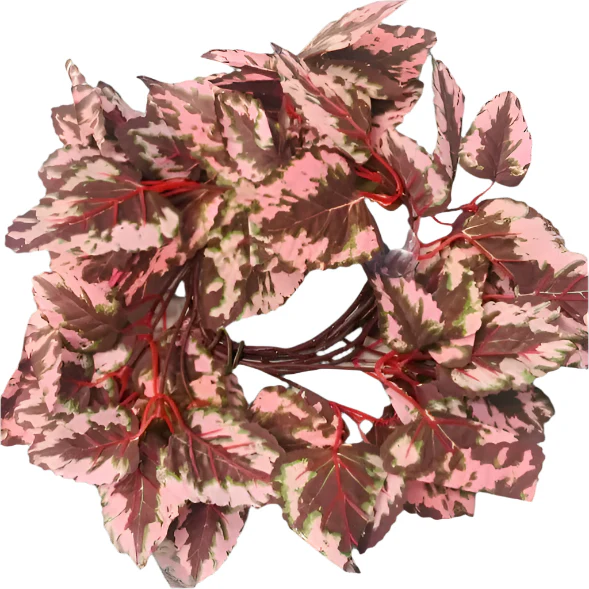 Repti Gear Coil Vines Decoration; Different Styles Available - Image 2