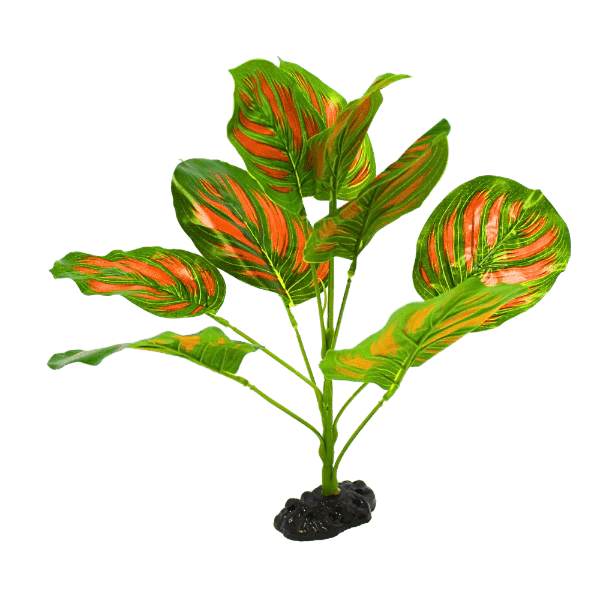 Repti Gear Green & Red Calathea Silk Reptile Plant