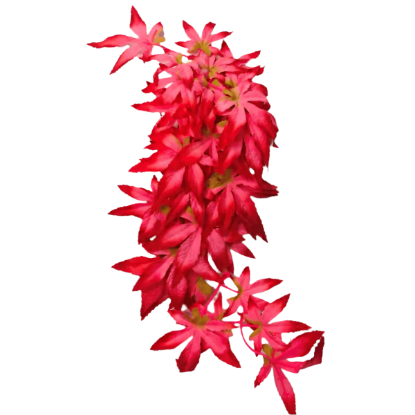 Repti Gear Silk Reptile Vine Decorations 40cm; Different Styles Available - Image 2
