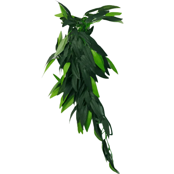 Repti Gear Silk Reptile Vine Decorations 40cm; Different Styles Available - Image 3