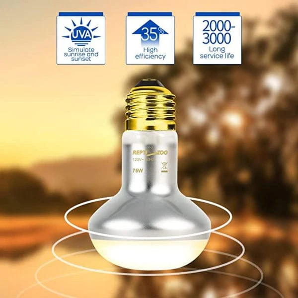 Reptizoo Combo Daylight & Nightlight Heat Lamps - Image 5