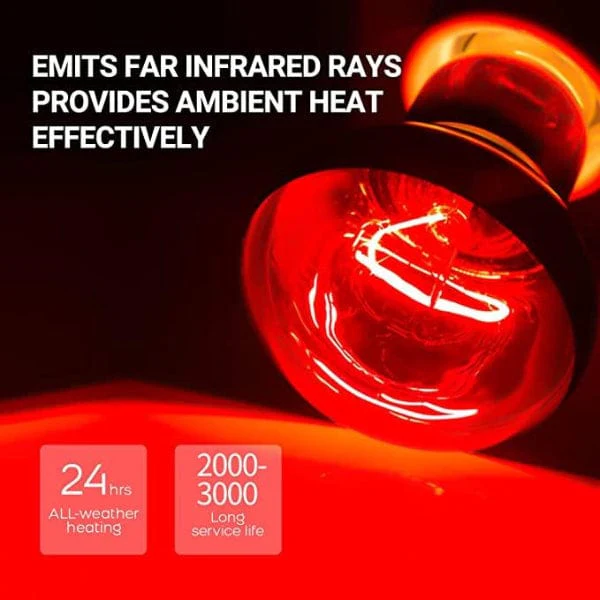 Reptizoo Combo Daylight & Nightlight Heat Lamps - Image 6